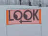 LOOK.jpg (34433 bytes)